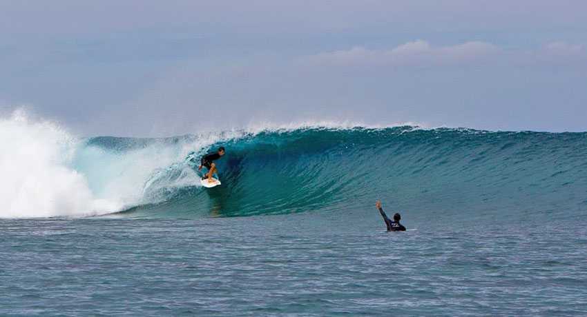 Surf Nekweta